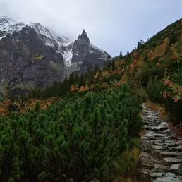 wyjscie-na-mnicha-mnich-z-przewodnikiem